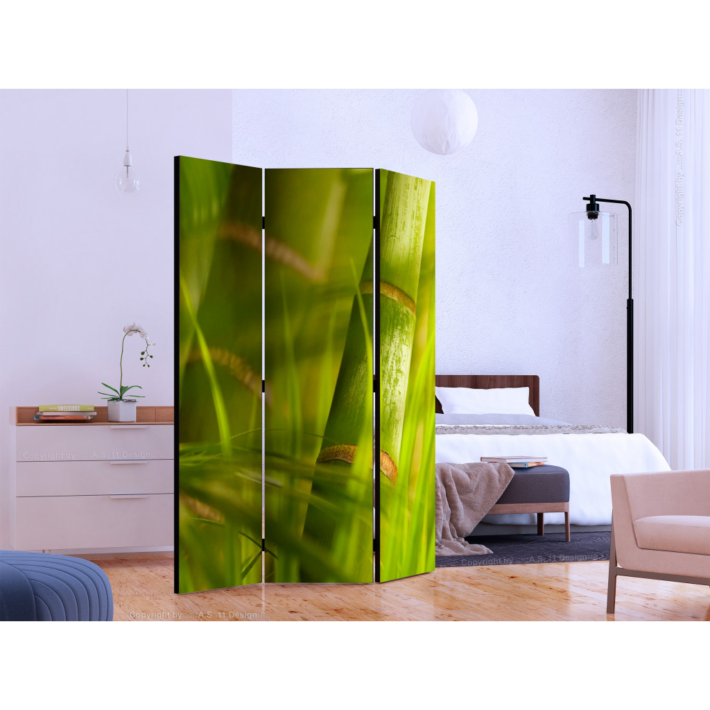 Parawan Pokojowy Bambus - Natura Zen [Room Dividers]