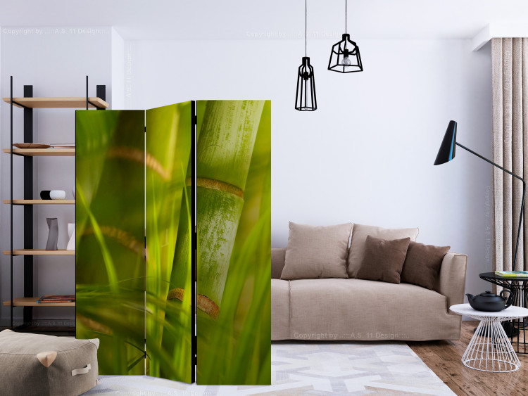Paravento design Bamboo - nature zen [Room Dividers] 132577 additionalImage 4