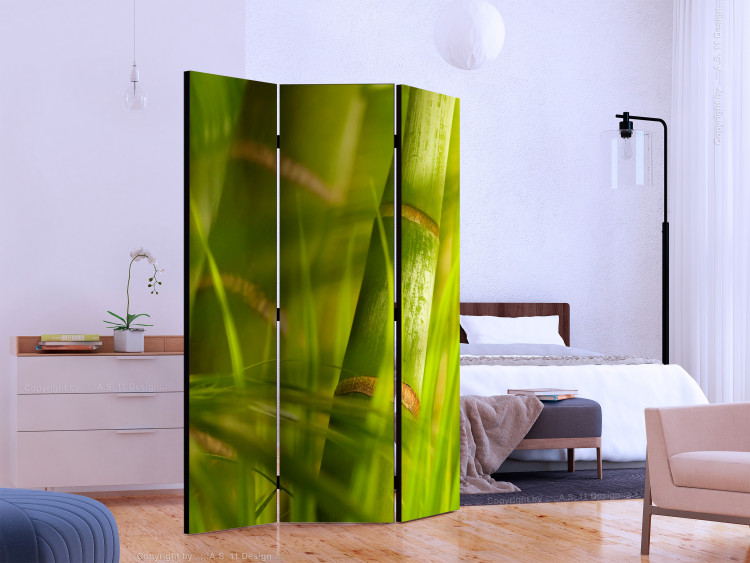 Biombo Bamboo - nature zen [Room Dividers] 132577 additionalImage 2