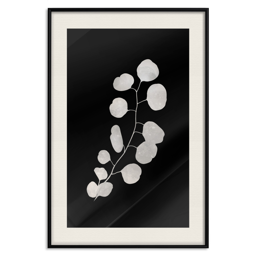 Poster Decorativo Eucalyptus Twig - Minimalist Plant On A Dark Background