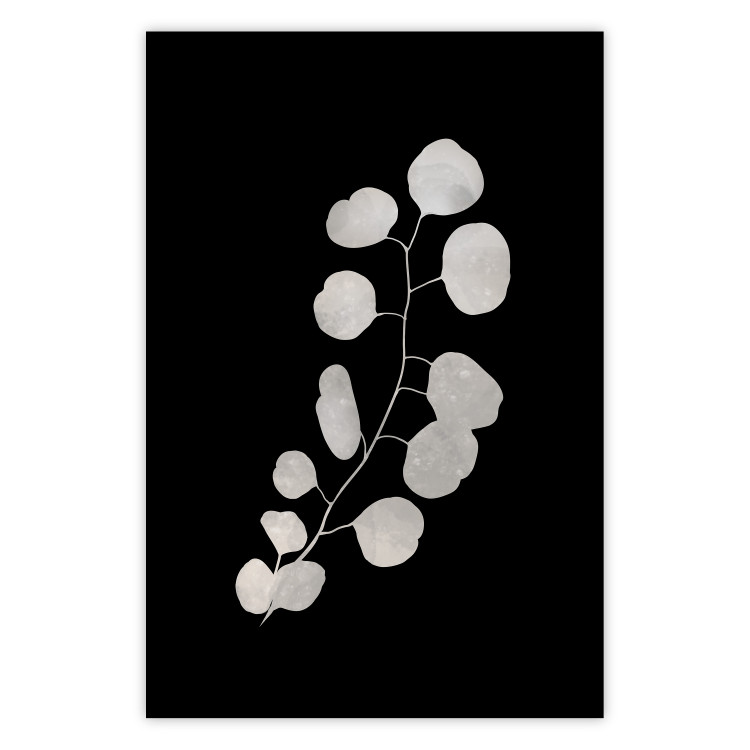 Plakat Gałązka eukaliptusa - minimalistyczna roślina na ciemnym tle 146177
