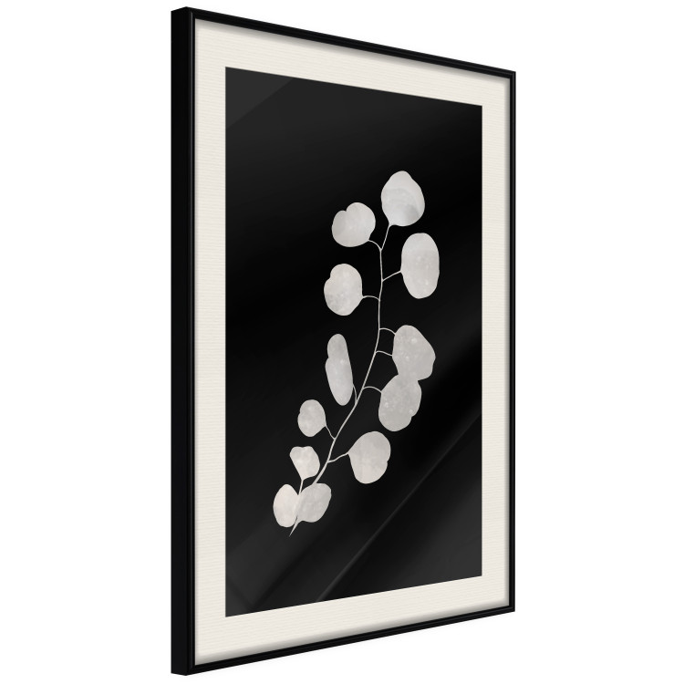 Plakat Gałązka eukaliptusa - minimalistyczna roślina na ciemnym tle 146177 additionalImage 10