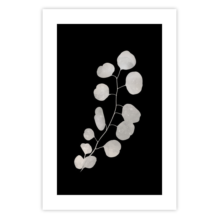 Plakat Gałązka eukaliptusa - minimalistyczna roślina na ciemnym tle 146177 additionalImage 20
