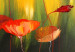 Cuadro decorativo Prado lleno de amapolas (1 pieza) - motivo vegetal con flores rojas 47177 additionalThumb 3