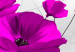 Cadre mural Pavots violets (5 pièces) - Fleurs sur fond aux nuances de gris 48577 additionalThumb 5