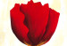 Canvas Red Tulips (3-piece) - Flower composition on a light background 48677 additionalThumb 3