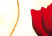 Canvas Red Tulips (3-piece) - Flower composition on a light background 48677 additionalThumb 2