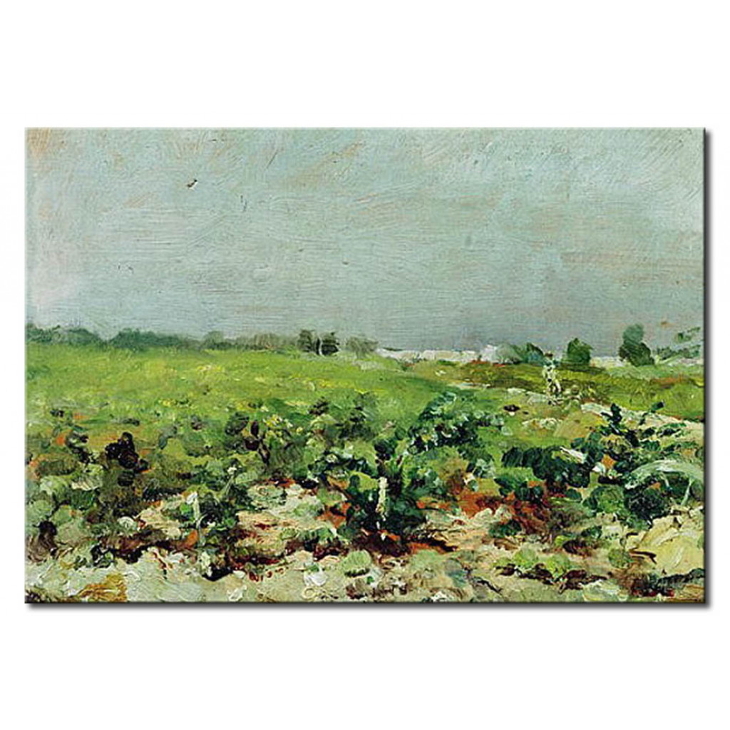 Schilderij  Henri De Toulouse-Lautrec: Celeyran, View Of The Vineyard