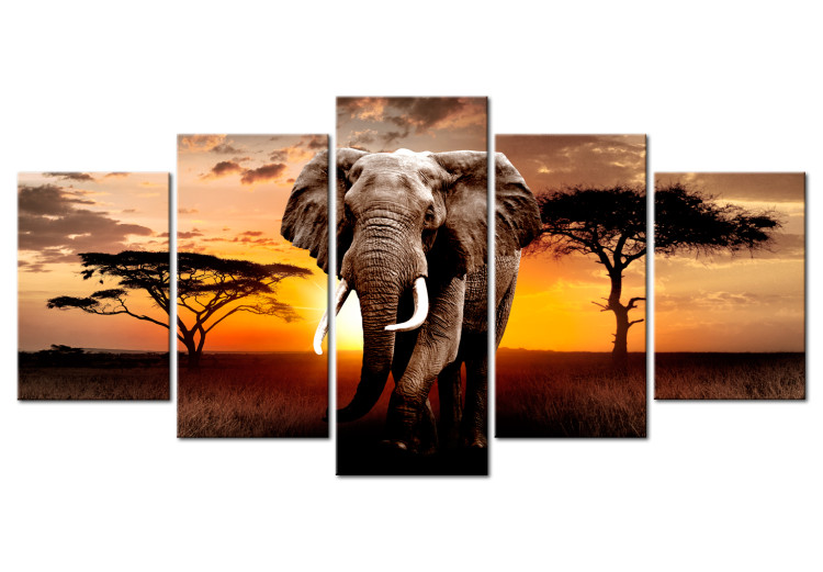 Obraz na szkle Wędrówka słonia [Glass] 106187 additionalImage 2