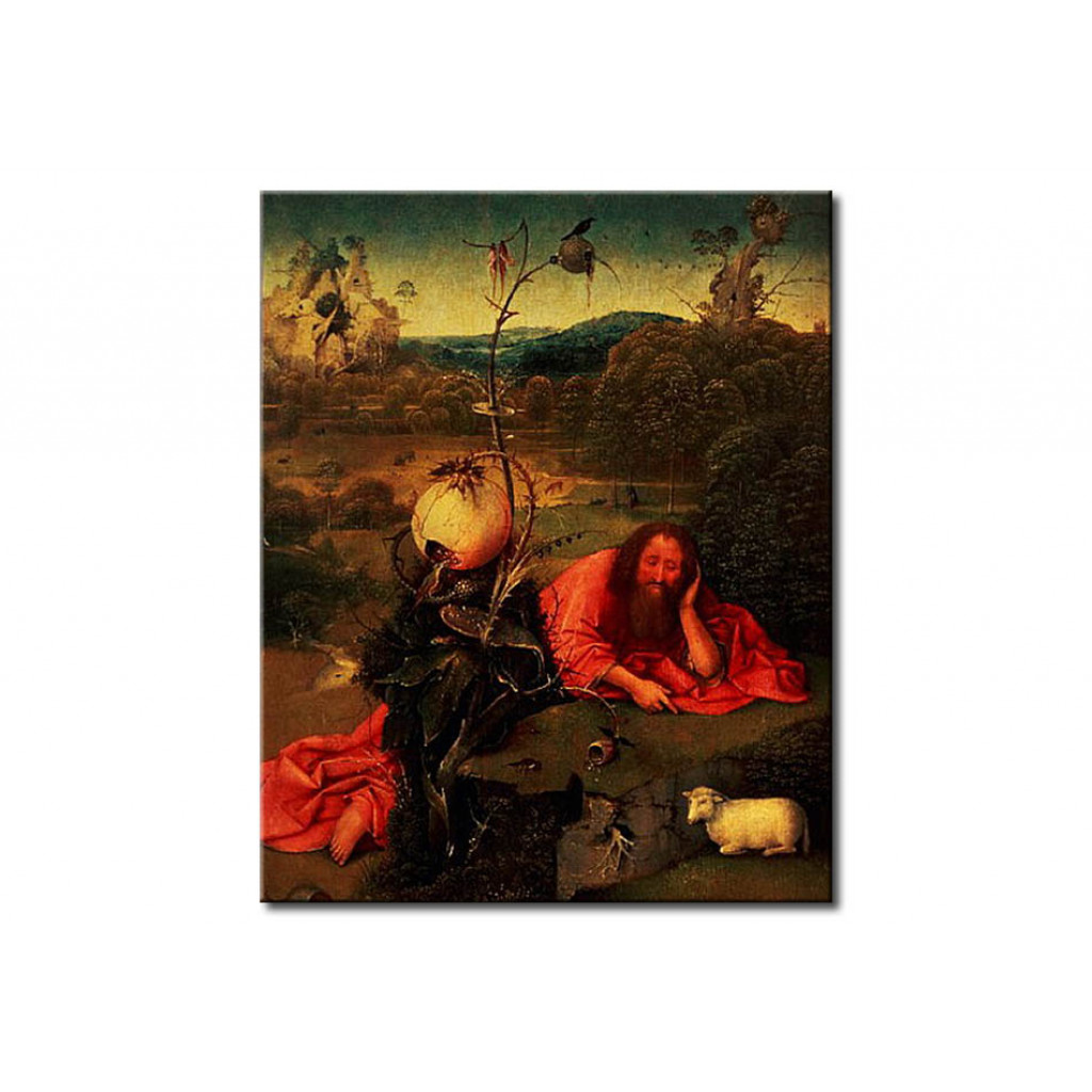 Schilderij  Hieronymus Bosch: St. John The Baptist In Meditation