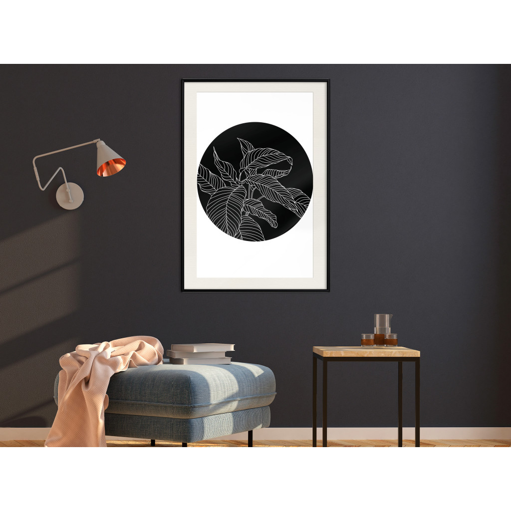 Muur Posters Spathiphyllum [Poster]