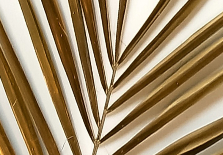 Obraz Suche liście palmy - zdjęcie z motywem roślinnym na białym tle 127987 additionalImage 5