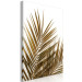 Obraz Suche liście palmy - zdjęcie z motywem roślinnym na białym tle 127987 additionalThumb 2
