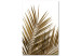 Obraz Suche liście palmy - zdjęcie z motywem roślinnym na białym tle 127987
