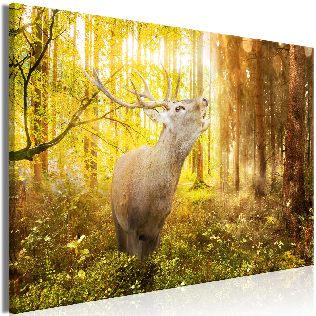 Schilderij Roar In The Forest [Large Format]