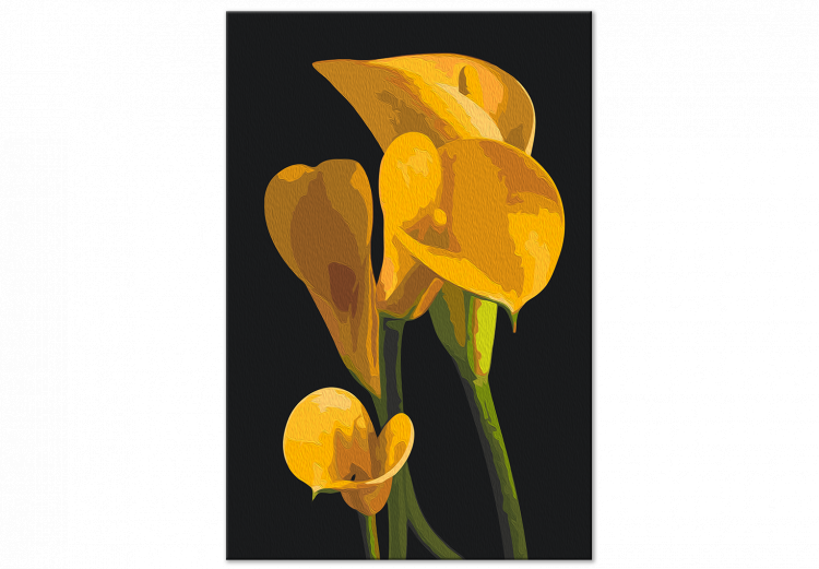 Paint by number Yellow Callas 138487 additionalImage 3