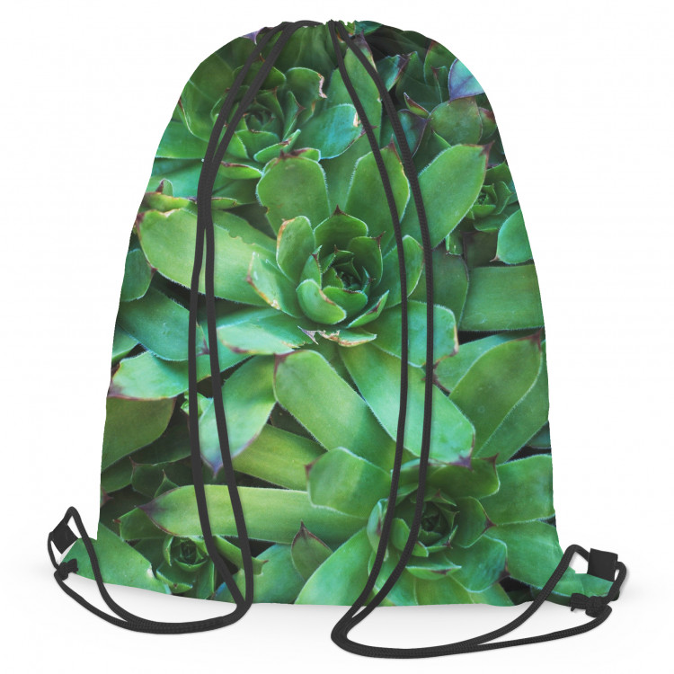 Mochila Flower bed stars - a plant composition with rich detailing 147387
