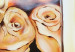 Cuadro moderno Rosas melancólicas (1 pieza) - motivo natural con flores enmarcadas 46887 additionalThumb 3