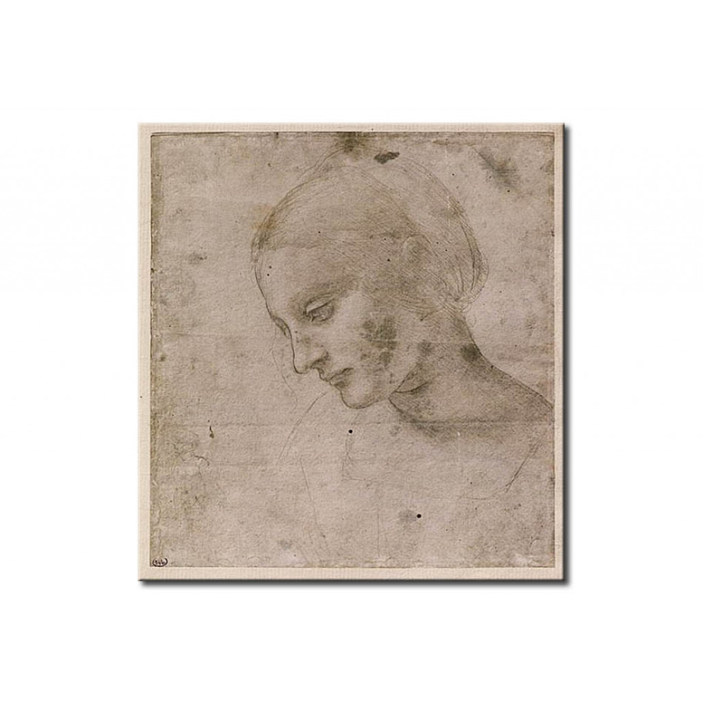 Schilderij  Leonardo Da Vinci: Head Of A Young Woman Or Head Of The Virgin