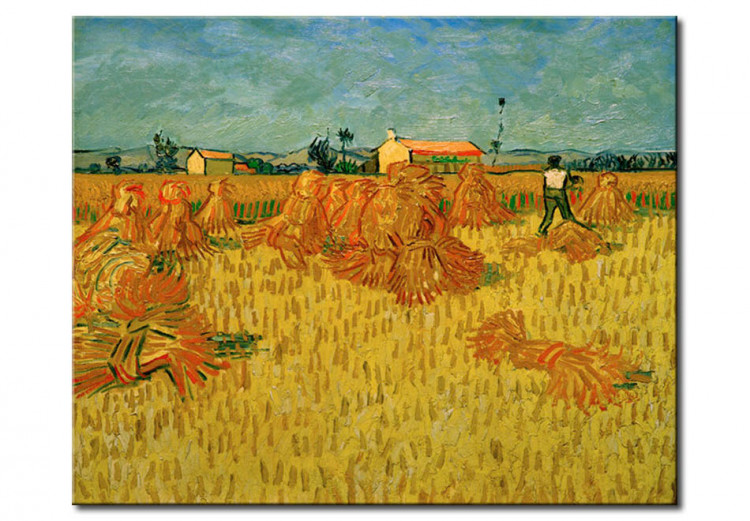 Reprodukcja obrazu Harvest in Provence 52287