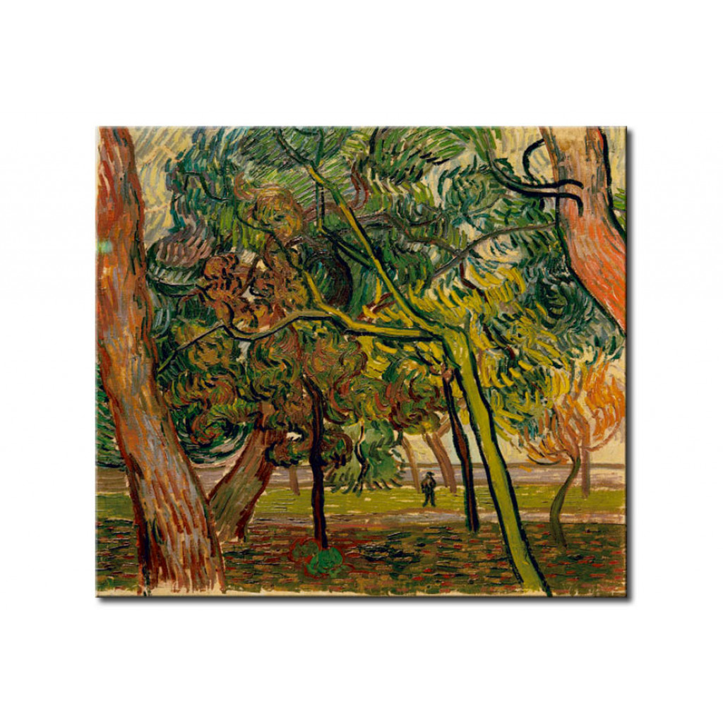 Schilderij  Vincent Van Gogh: Study Of Pine Trees In Autumn
