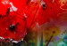 Leinwandbild Garden of Colours 90087 additionalThumb 4