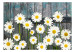 Fototapeta Motyw kwiatowy - stokrotki na tle z desek w odcieniach niebieskiego 91087 additionalThumb 1