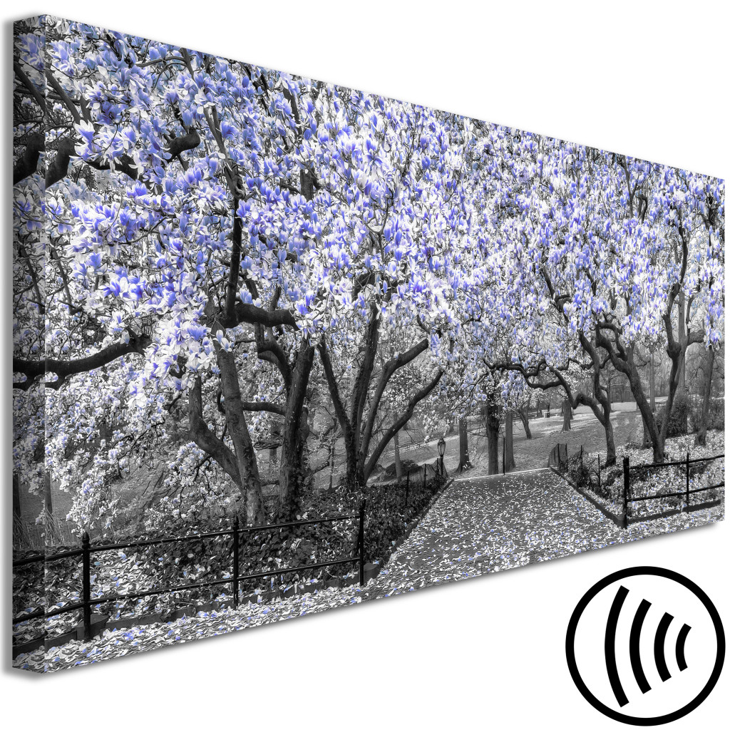 Obraz Kwitnące Magnolie - Pozioma Kompozycja Z Magnolią W Odcieniach Fioletu