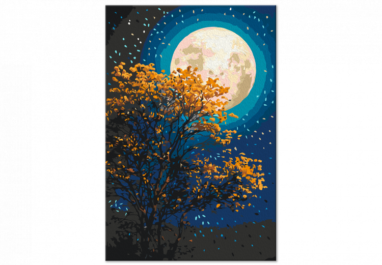 Obraz do malowania po numerach Rozświetlony księżyc 138497 additionalImage 6