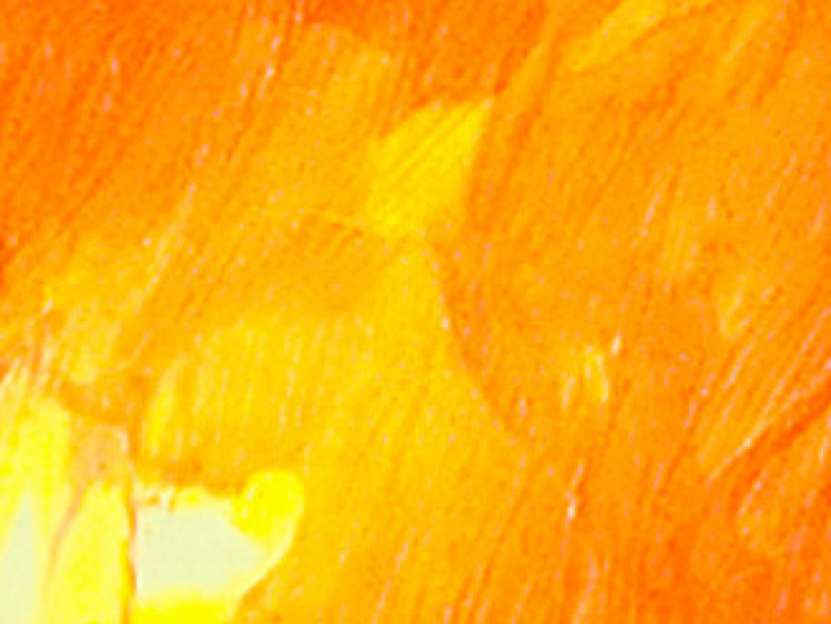Cadre déco Sphère orange 47797 additionalImage 3