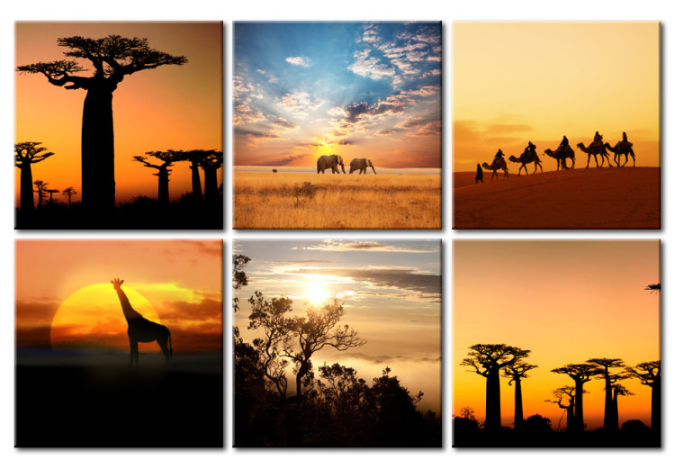 Obraz Afrykańskie pejzaże 58497