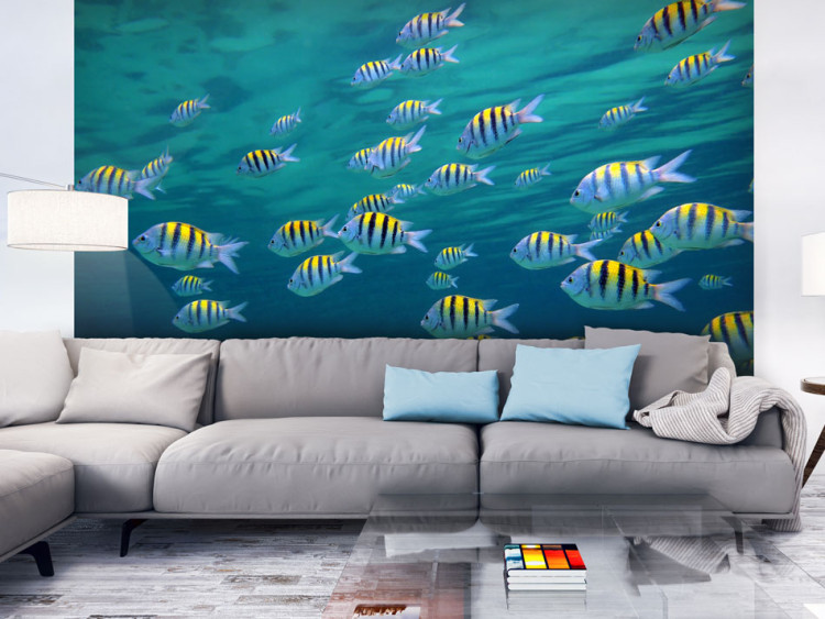 Wall Mural Underwater landscape - Caribbean 59997