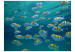 Wall Mural Underwater landscape - Caribbean 59997 additionalThumb 1