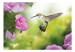 Photo Wallpaper Nature - Hummingbird in Flight with Pink Flower on a Green Background 60097 additionalThumb 1
