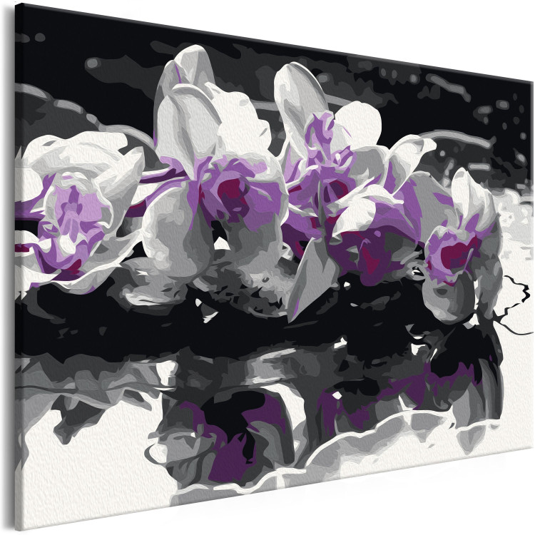Wandbild zum Malen nach Zahlen Violette Orchidee (schwarzer Hintergrund & Wasserspiegelung) 107508 additionalImage 5