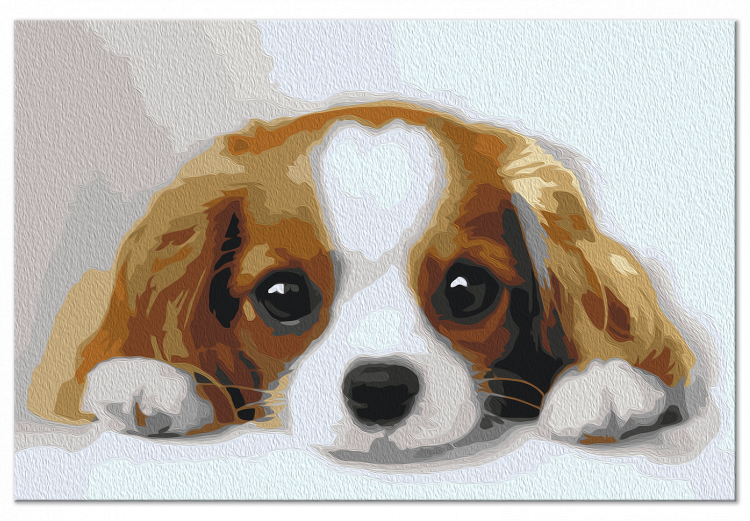 Paint by number Sweet Puppy 142408 additionalImage 6