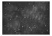 Photo Wallpaper Stars - Constellations of Zodiac Signs in Black and White Cosmos 145308 additionalThumb 1