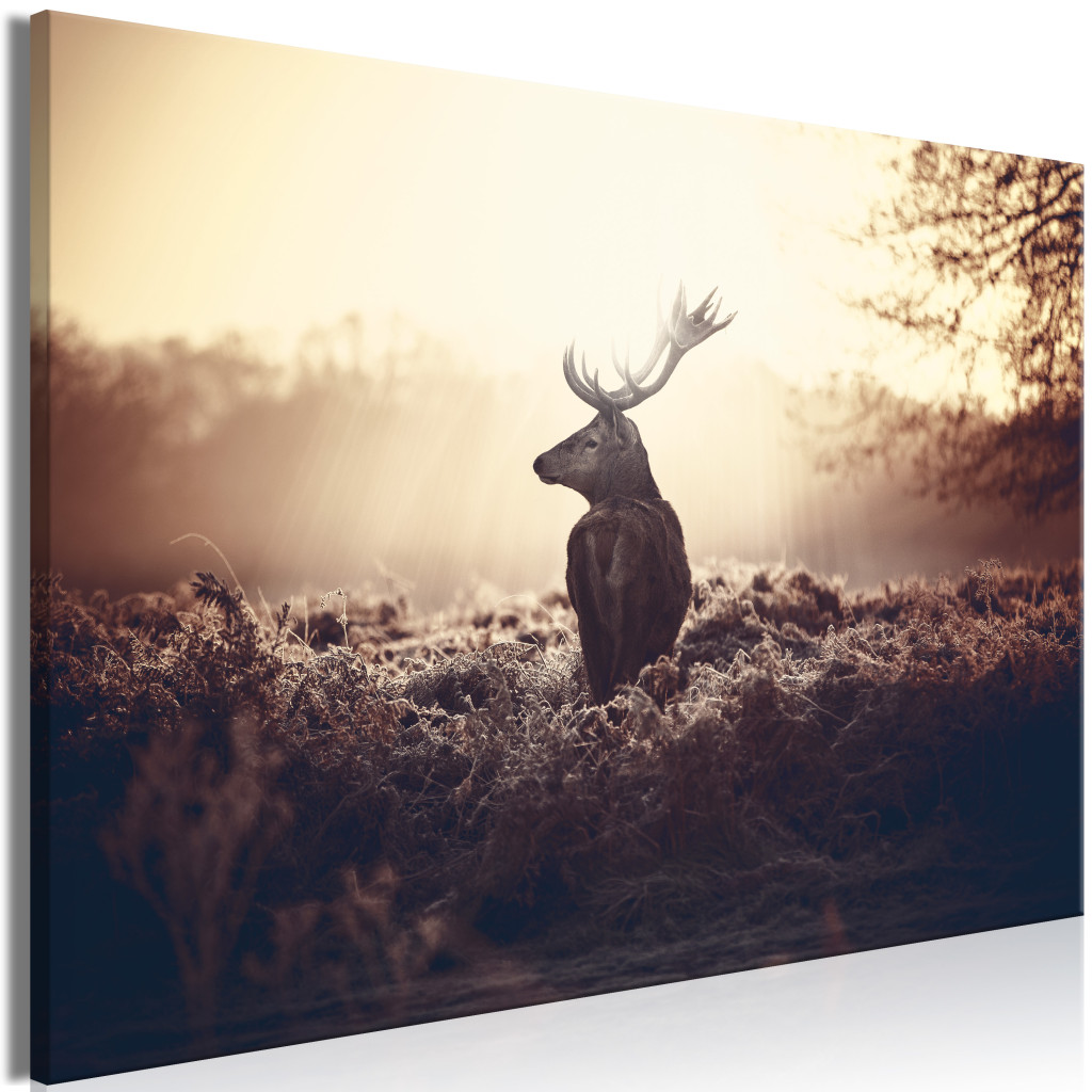Stag In The Wilderness [Large Format]