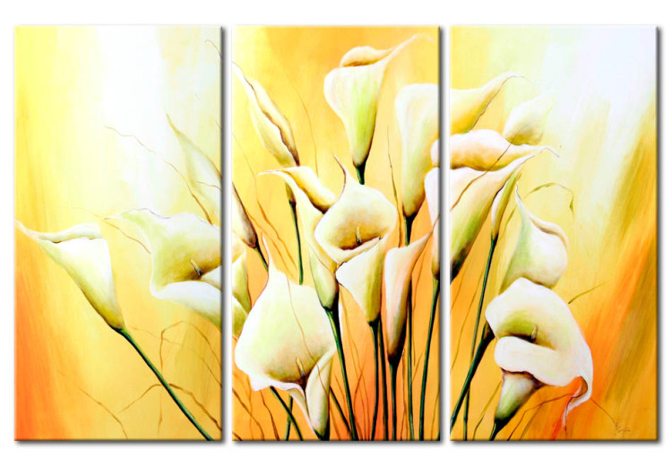 Canvas Print Classic Beauty (3-piece) - bouquet of light calla flowers on a yellowish background 46808
