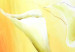 Cuadro moderno Belleza clásica (3 piezas) - ramo de dalias claras en fondo amarillo 46808 additionalThumb 2