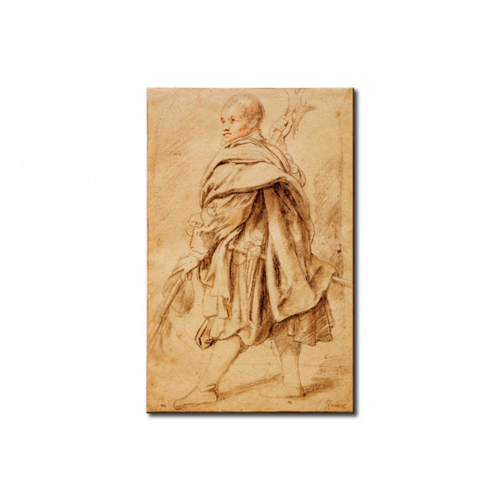 Schilderij  Peter Paul Rubens: Study Of A Halberdier