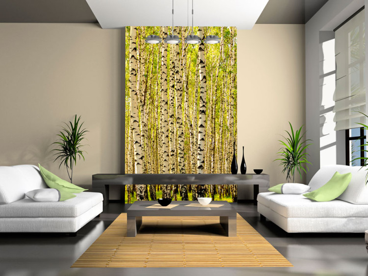 Wall Mural Birch Forest - Landscape of Tall Trees with Juicy Colored Leaves 60508