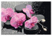 Desenho para pintar com números Orchid With Zen Stones (Black Background) 107518 additionalThumb 6