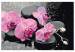Desenho para pintar com números Orchid With Zen Stones (Black Background) 107518 additionalThumb 7