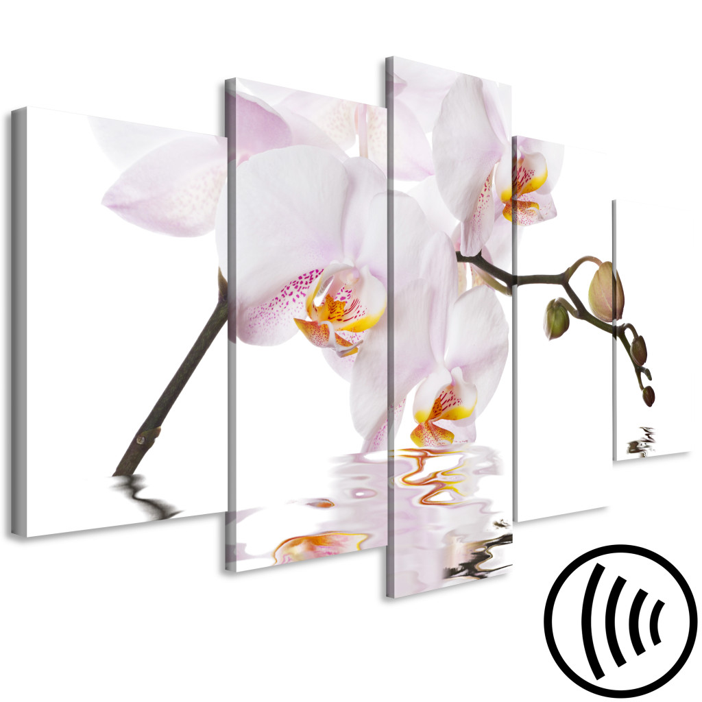 Schilderij  Orchideeën: Delightful Orchid (5 Parts) Wide