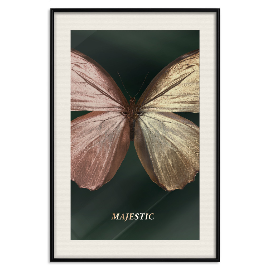 Plakat: Majestatyczny Owad - Motyl O Niespotykanych Skrzydłach Na Ciemnym Tle