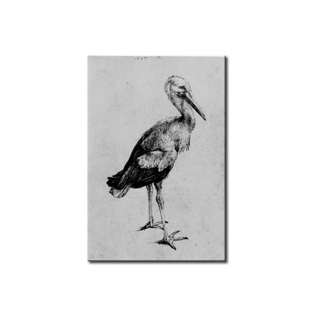 Canvastavla Stork