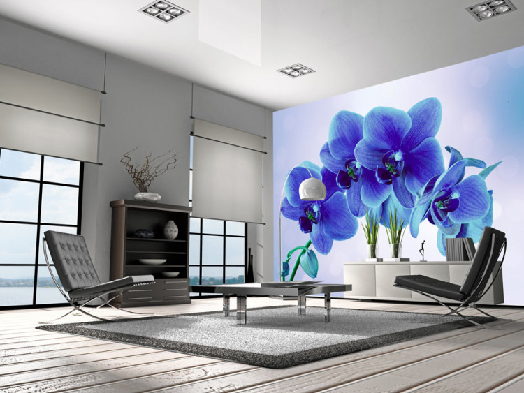 Fotomural Momentos de Solidão - orquídeas azuis em fundo azul com toques de branco 60318