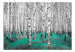 Photo Wallpaper Emerald Asylum - Abstract Forest Landscape with Birch Trees and an Accent 60518 additionalThumb 1