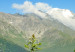 Obraz Wiosna w Alpach (3-częściowy) 126228 additionalThumb 5